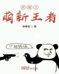 榮耀之萌新王者